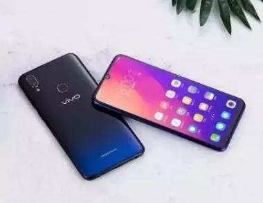 vivo